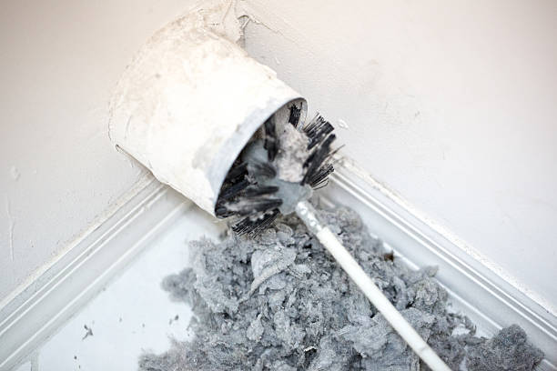 Best Air Duct Inspection  in Brown City, MI